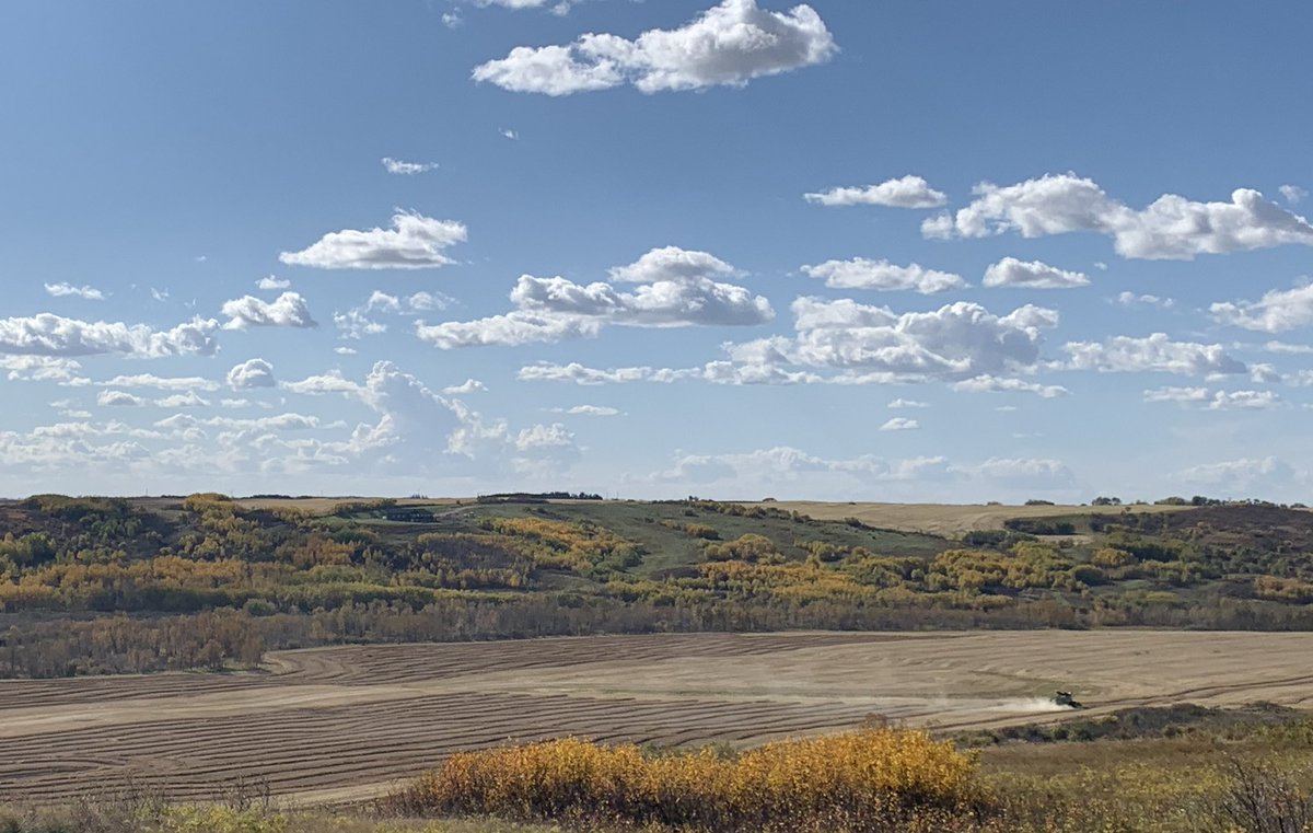 Beautiful weather and beautiful view today to take off some #B3010M.  Thanks <a href="/ltlandco/">Lionel Nicholson</a> for letting me hang out with your Dad in combine, he wasn’t grumpy at all with me, I told mike it must be you boys, lol. 😂