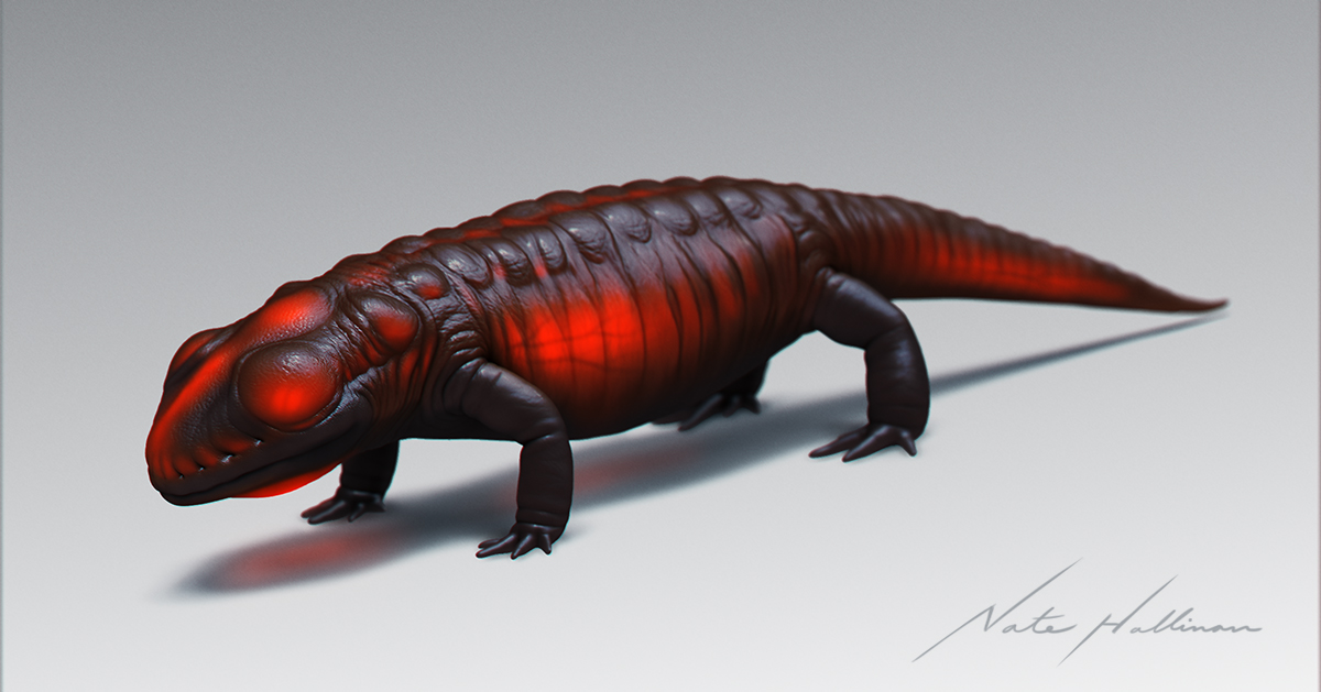 NateHallinan's tweet photo. Warning, severe burns if touched; use caution when encountering thermal salamanders. 
ZBrush; very humbling, intimidating, yet very fun in a whole new way. Have to remember to pace myself, still tons and tons to learn.
#zbrush #digitalsculpting #learningzbrush https://t.co/2OArDYltL0