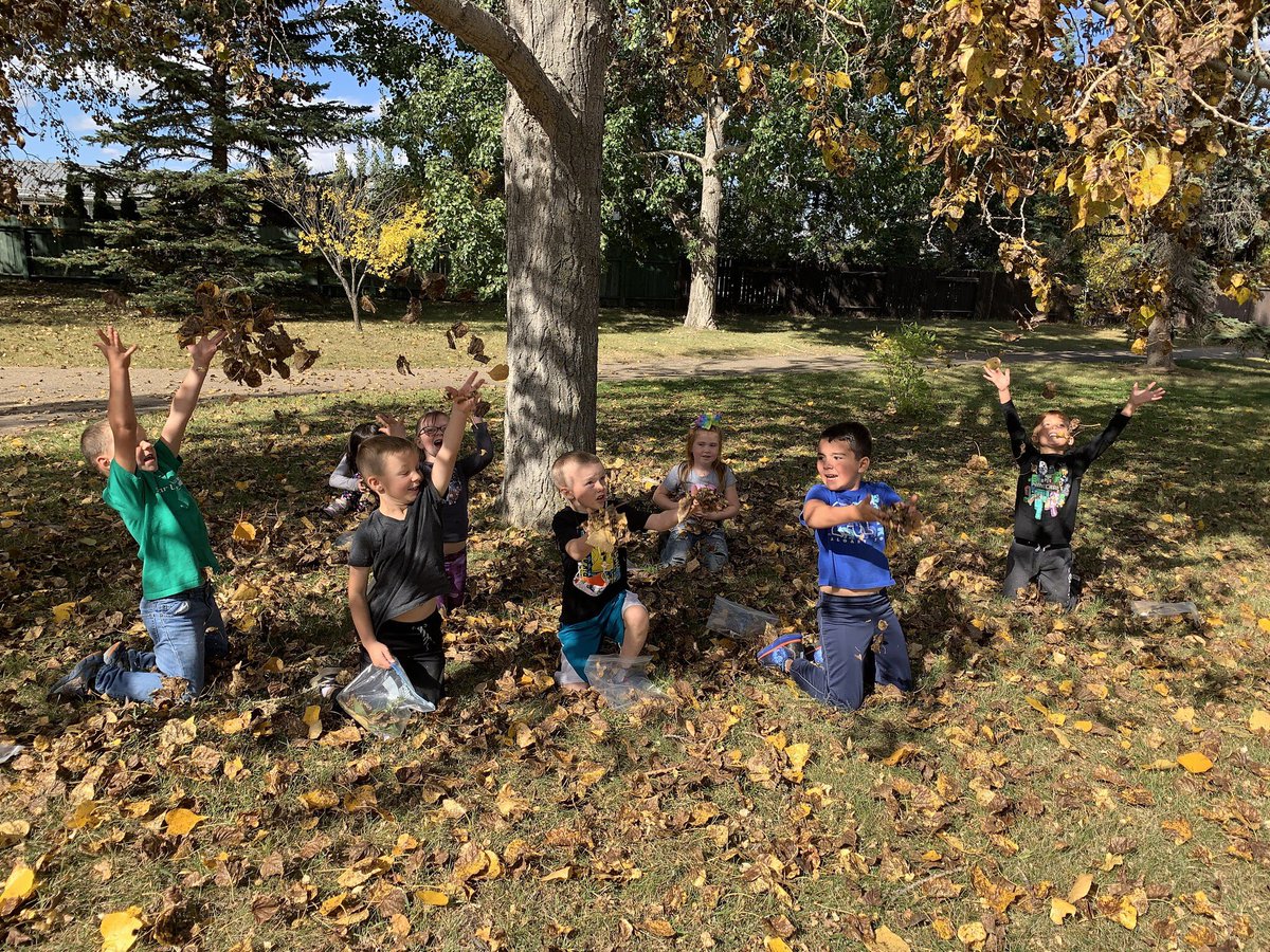 Mrs. L Holt tweet media