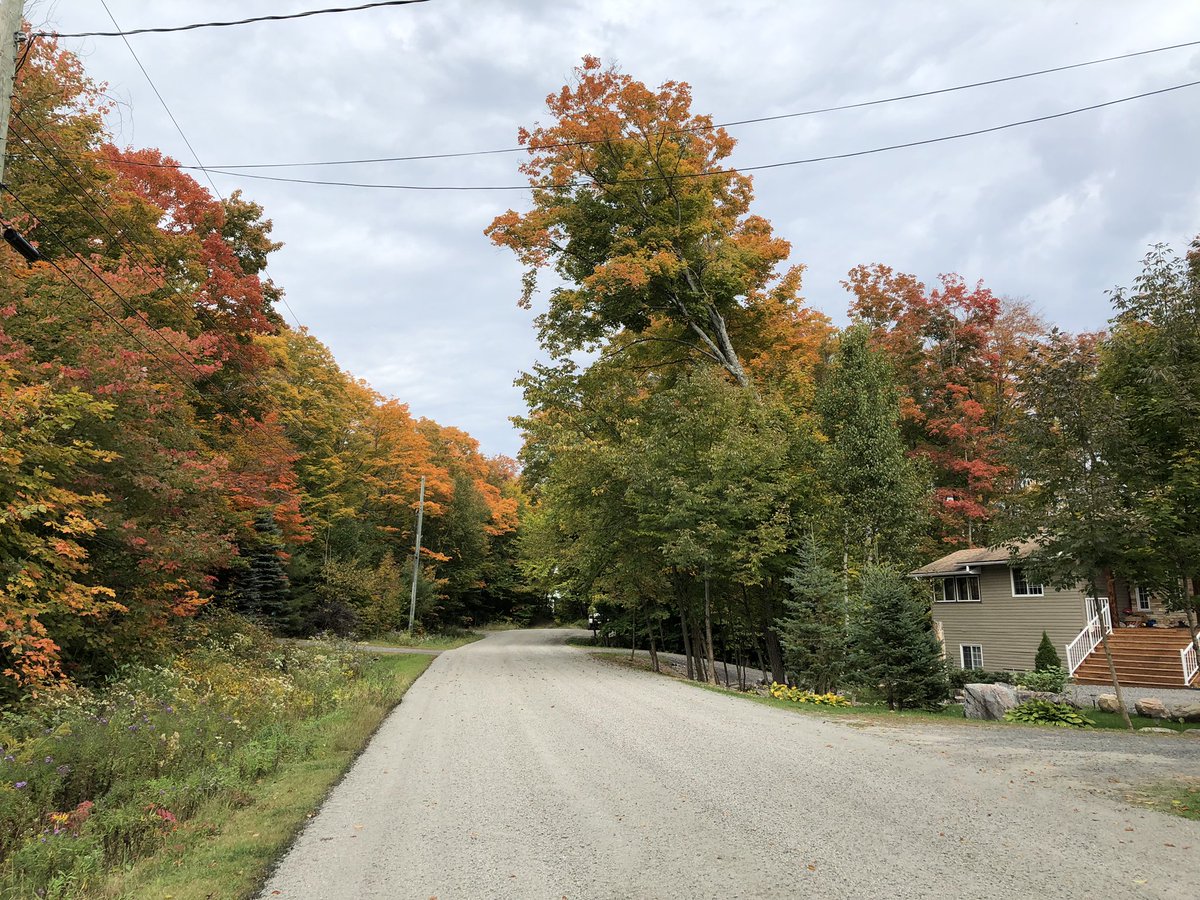janica_e's tweet photo. My favourite season is here! The leaves have started to change, and the cooler weather is upon us. 🍁
..
.
..
.
..
.
#FallVibes #FallTimeIsTheBestTime  #AutumnVibes #LeavesAreChanging #LeavesAreFalling #MyFavouriteSeason #NoFilterNeeded #Muskoka #MuskokaLife https://t.co/Lc1zMod1w0