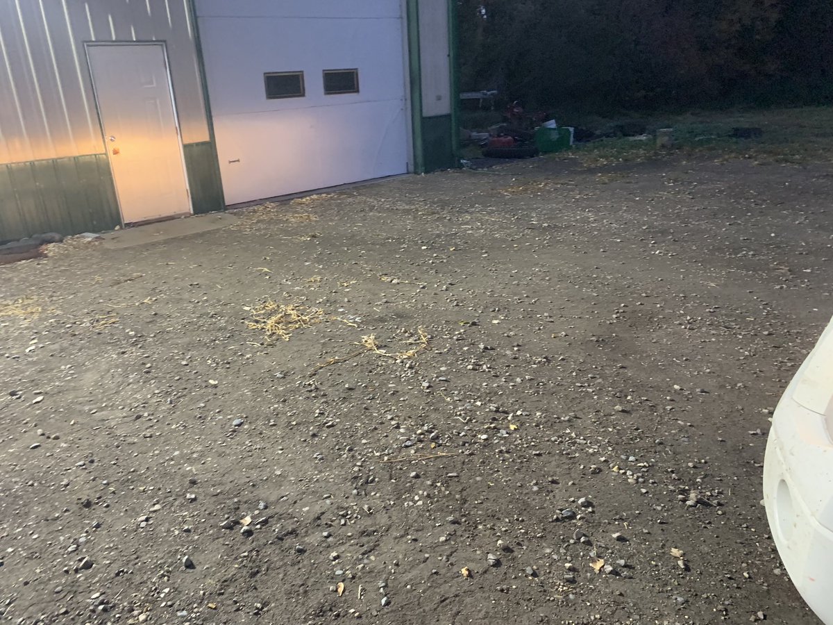 Smithfamilyseed's tweet photo. When #twitterlessdave is tired of dark in front of our shop he buys a big ole yard light. #alwaysdaytime https://t.co/nnZYqWE1Wl