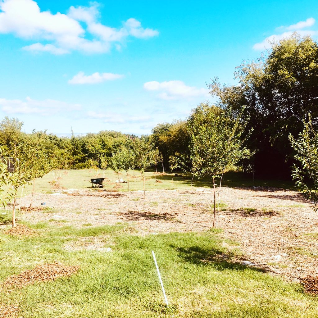 coylpoitier's tweet image. Awesome #volunteers today helping out at the #Garden!!!
@clydehughey , @darrylkenebrew , @nuyouwithbruce, @nellyjfit and Katrina #Poitier!! @fawccas 

Special Thanks To Unified Hands!!

#urbanfarming #mulching #fruittrees