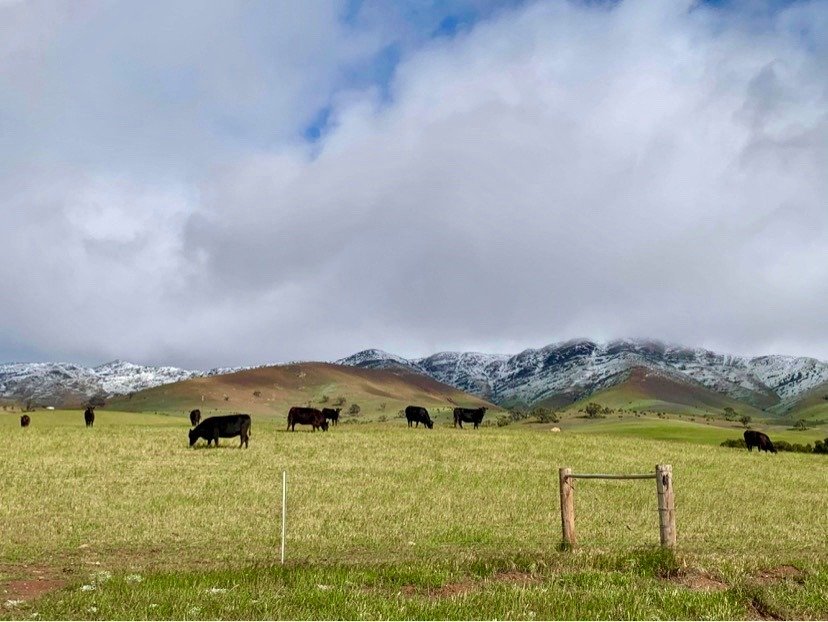 PrincessRoyalStation tweet media