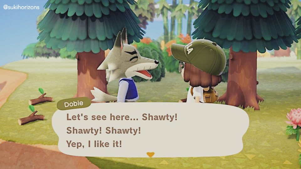 sukihorizons's tweet photo. hey shawty ✨ i couldn’t resist and made dobie’s catchphrase shawty. it fits him perfectly! #acnh https://t.co/X8RmZZyaYV