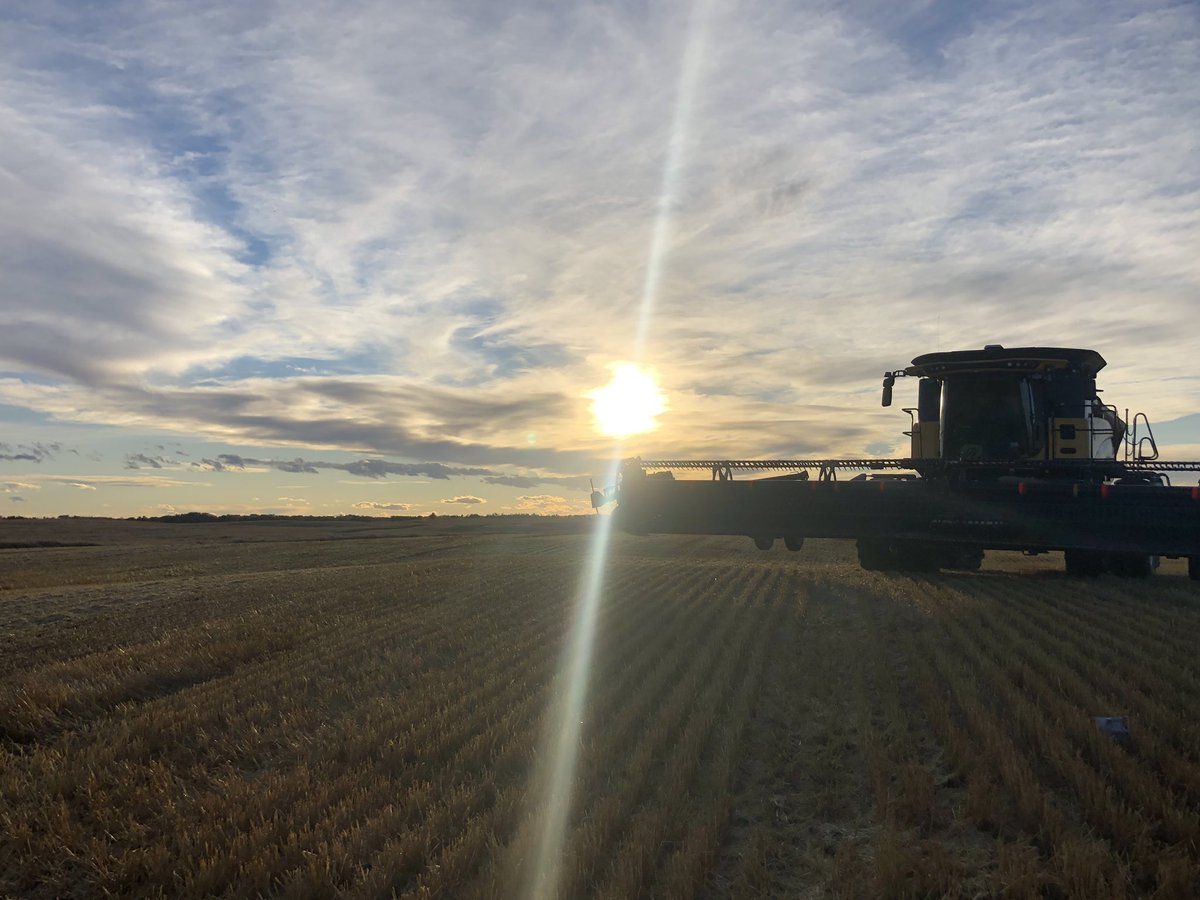 Meals in the Field tonight with one of my great <a href="/BrevantSeedsCA/">Brevant seeds Canada</a> growers. Excited to see the B3010M come off next week!  <a href="/CortevaCA/">Corteva Canada</a> Happy harvesting!
