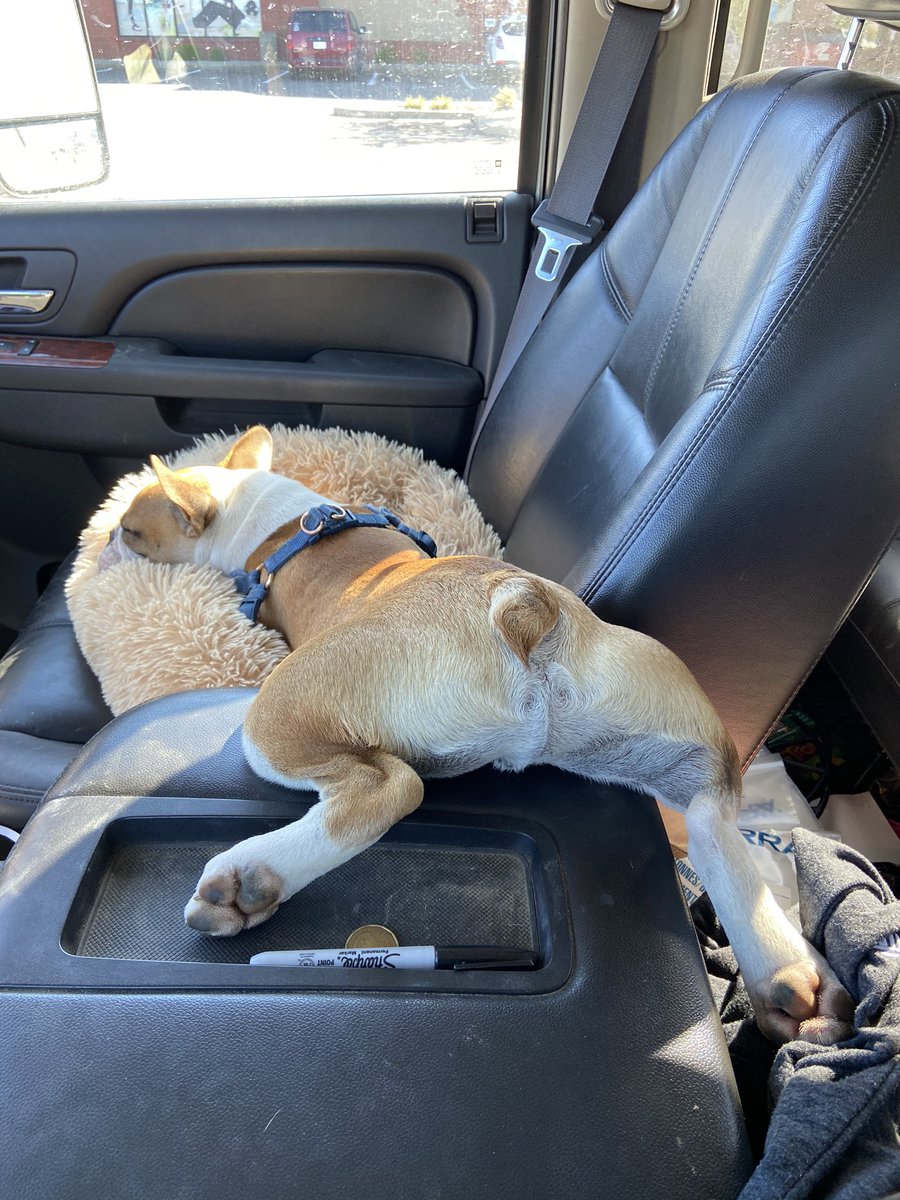 Marla Anwender tweet media