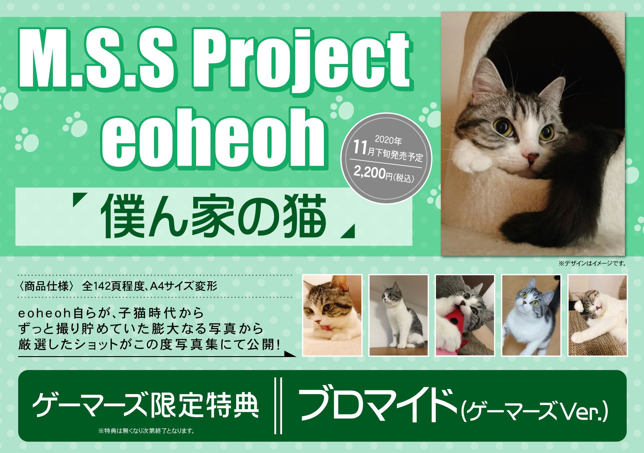 M.S.S Project × MAYLAが織り成す和の饗宴は開かれた『結びで