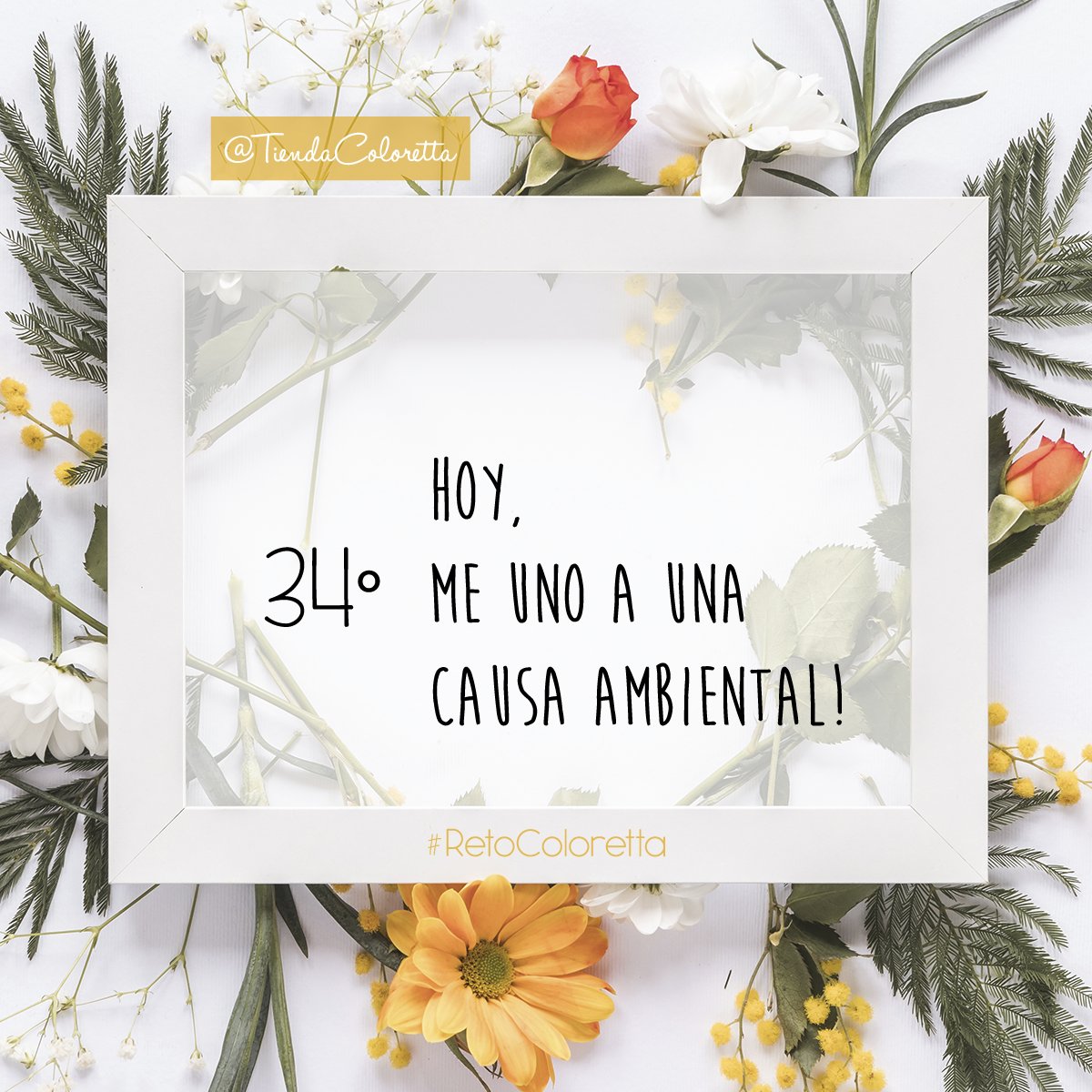 TiendaColoretta's tweet photo. Causas ambientales hay en cada barrio, ciudad, país y online, busca algo con lo que te identifiques y ayúdanos a ayudar. 💛 ¡Únete al #RetoColoretta! https://t.co/7t982Mqrwx