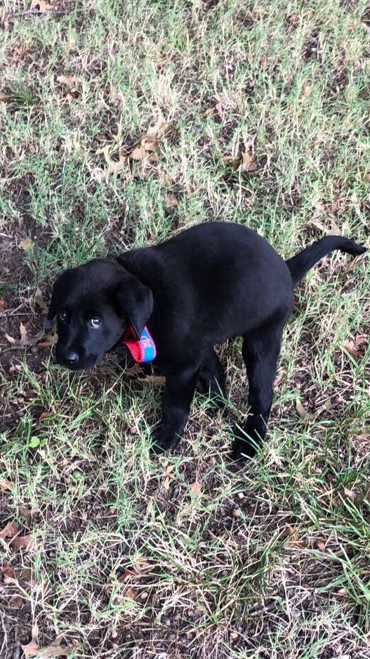 Vortex_Locks's tweet image. Pooka 0-2 to start the year. What a dumbass