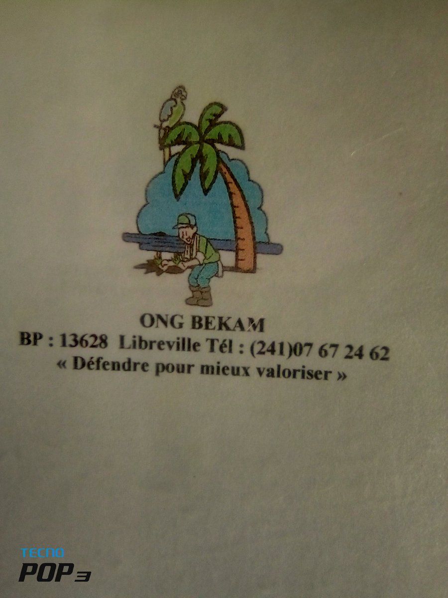 l'ONG BEKAM organise en différé ce samedi 26 septembre 2020 avec l'aide de GABON TELECOM la journée mondiale du nettoyage sur les trois sites retenus à cet. Il s'agit de la plage en face du lycée national Léon Mba, Derrière l'Assemblée nationale et le rond-point de Nzeng ayong.