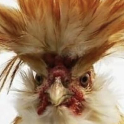 AdamAnnette's tweet image. #nieuweprofielfoto