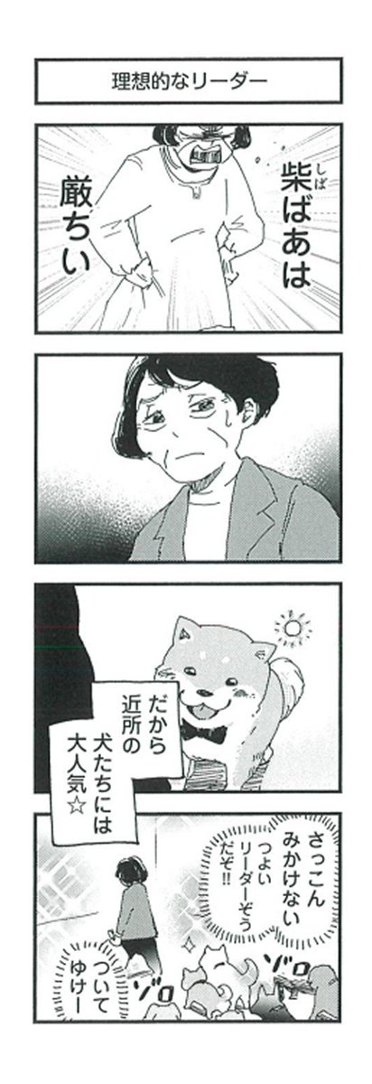 ?『柴ばあと豆柴太』?

25歩目「理想的なリーダー」

#4コマ #4コマ漫画 
#犬  #柴犬 #わんこ 