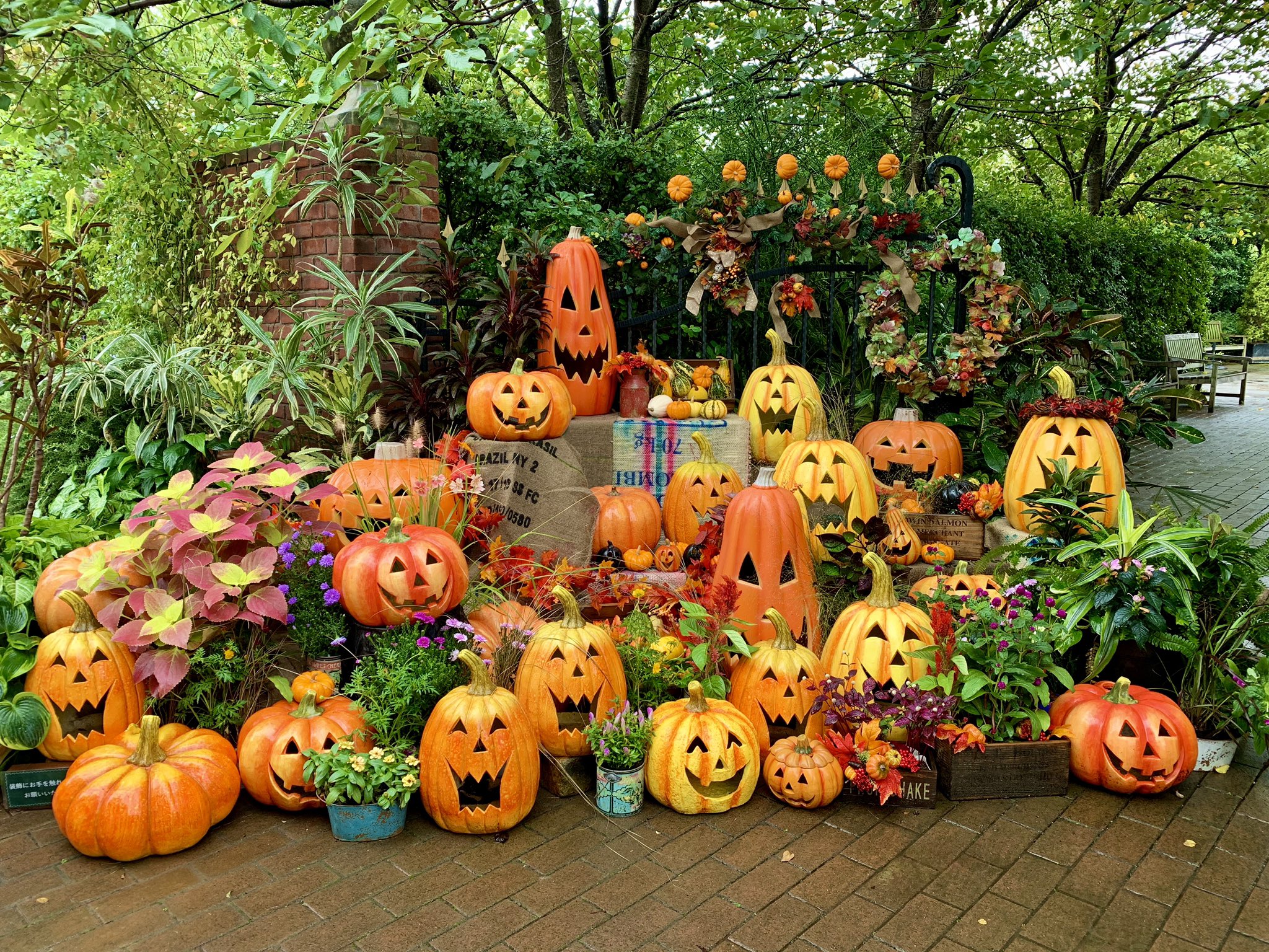 横浜イングリッシュガーデン ハロウィン ディスプレイ展示中 現在園内では 10 31までハロウィン ディスプレイを展示中です あいにくの雨続きですが 気温が低く外でも過ごしやすい気候になりました ガーデニング作業もはかどる季節ですね