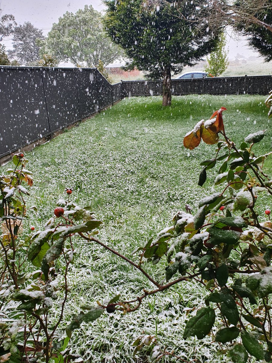 bethagram's tweet image. Hows your day going? I'm happy because it's SNOWING!!