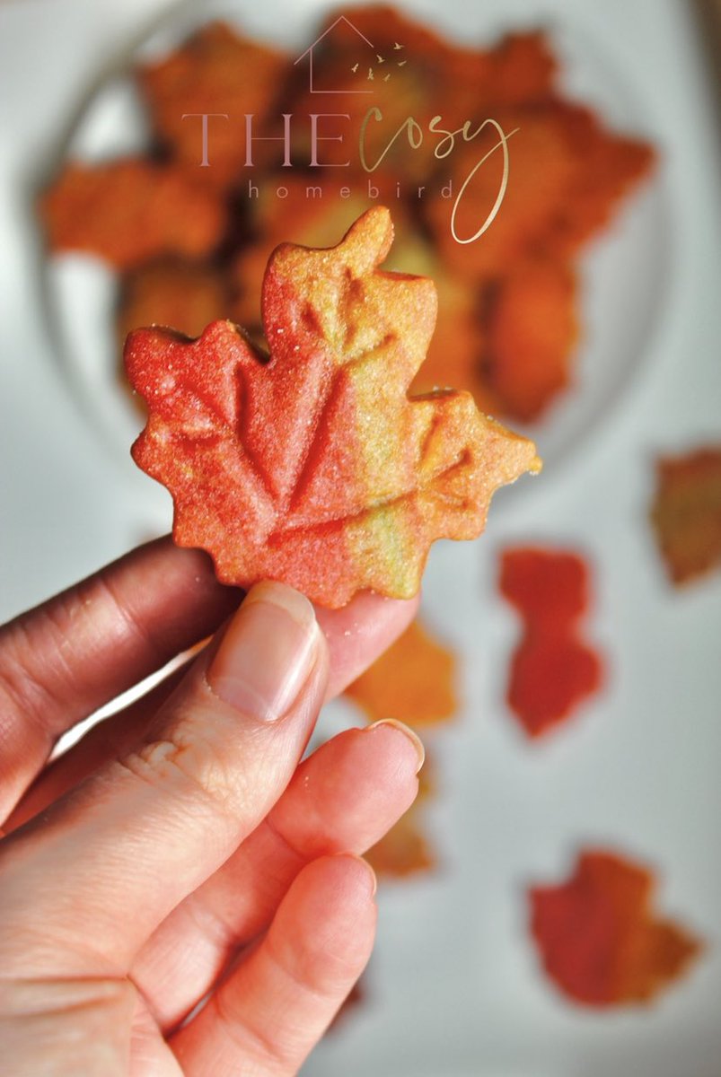 HomebirdThe's tweet photo. Autumn Orange Shortbread Bites! πππ https://t.co/Py1VediuVN #autumn #baking #autumnbakes #fallbakes #fall #cookies #biscuits #homemade #bakinghome #AutumnTreats #autumnleaves https://t.co/BX86zUGetR