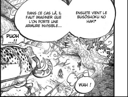 Le Haki invisible ou "Armure invisible" est lui aussi utiliser de 2 façon differantes entre:-les corporel - et les utilisateurs d'armes Et ont tous deux des utilisations standard et avancé.