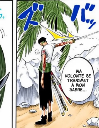 Pour les utilisateurs d'Armes c'est caractérisé par la "force insuflé dans son sabre qui permet de couper ou non "On vois ici que zoro l'a maitrisé dès alabasta ce qui signifie que les 2 haki (visible et invisble) sont indépendant!! (Mais peuvent être utiliser enssemble)
