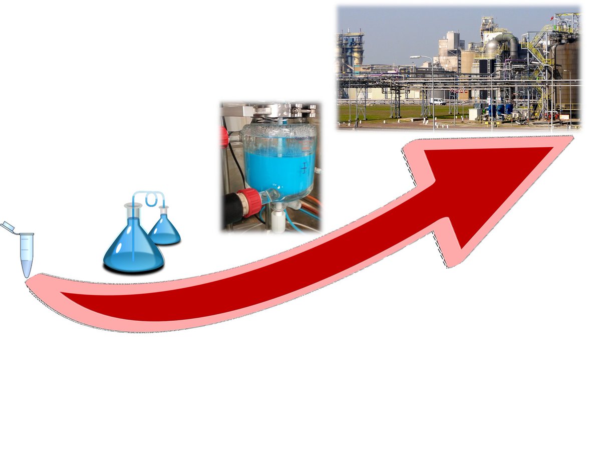 Process Chemistry and Technology Group tweet media
