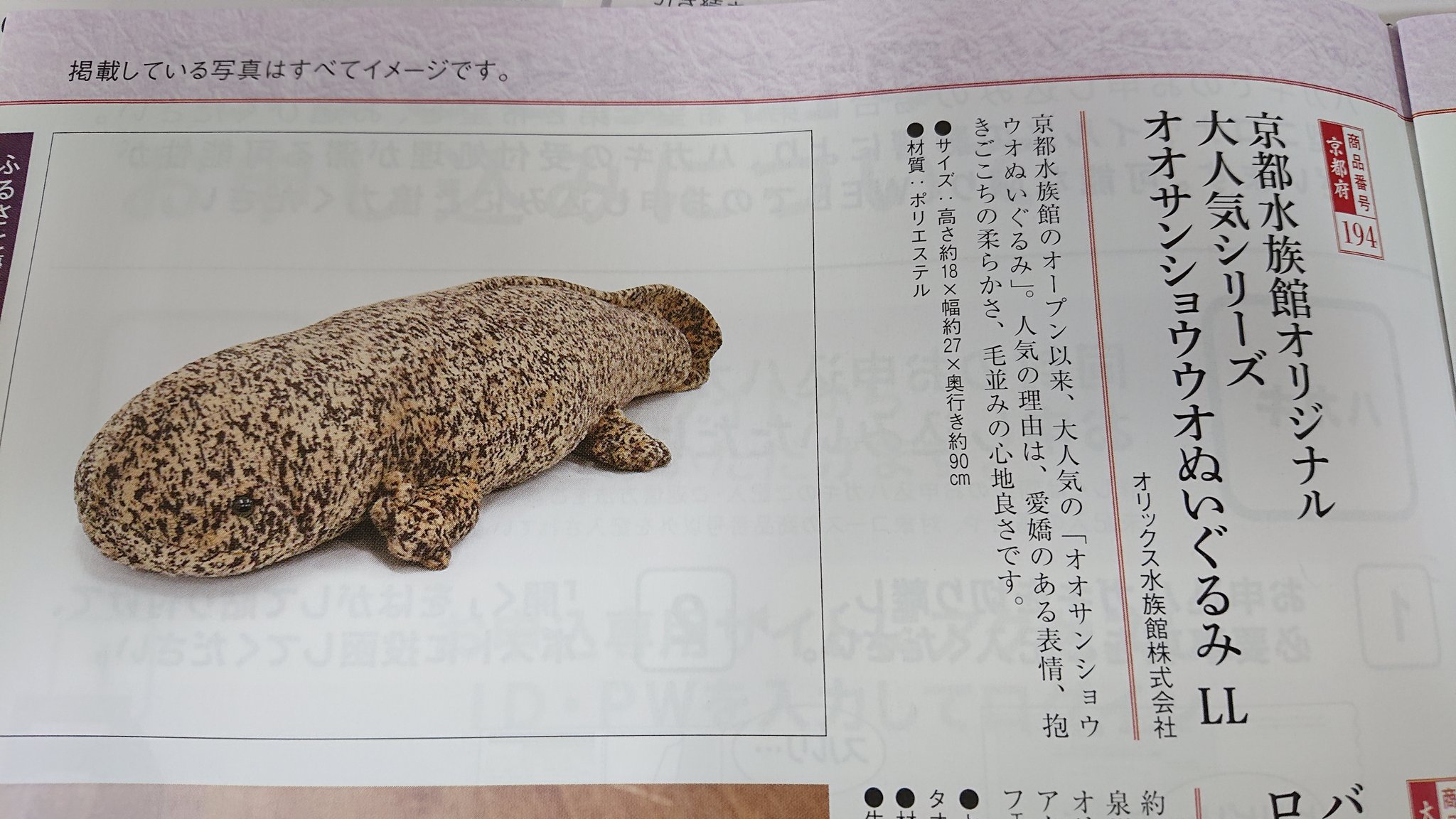 LAST京都水族館オオサンショウウオとすみだ水族館　ペンギン　オリックス優待 オリックスの攻めてる株主優待【オオサンショウウオ】など2024年