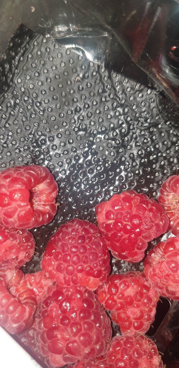 Jade Clements tweet media