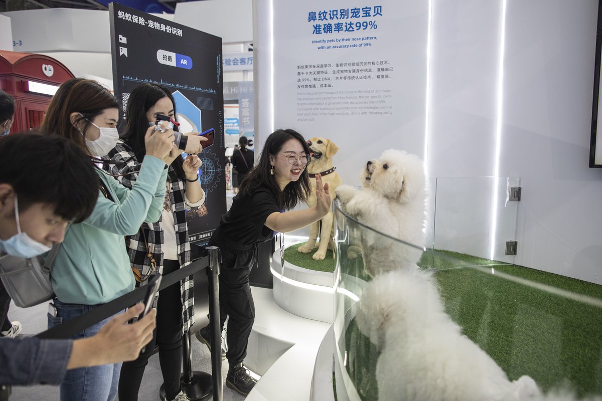 Shanghai Daily tweet media