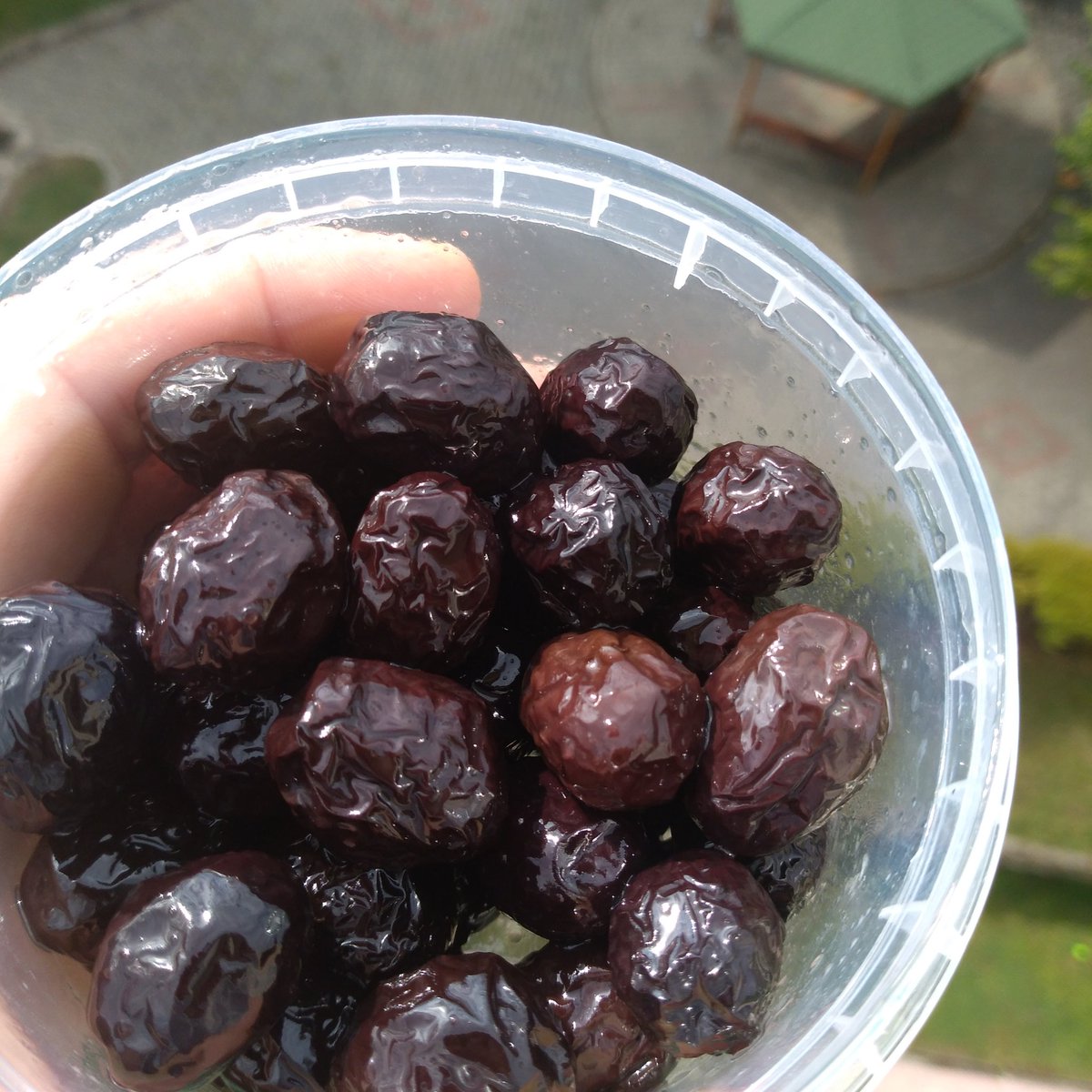 Zeytine acılığı veren oleuropein adlı bir maddedir, zeytinde bulunan en değerli polifenollerden biri olan oleuropein tuz vs ile uzaklaştırılarak zeytin meyvesi tüketilebilir hale gelir.