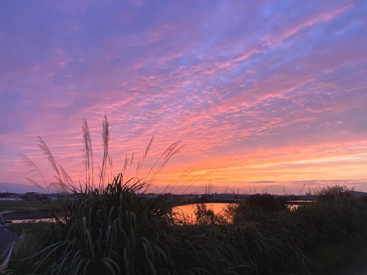 のんちゃん ようやく雨もやみ 夕方だというのに かわいい鳥のさえずりが この日の夕空 グラデーションがとっても綺麗 秋を感じながら 今日もお疲れさまでした ᵕᴗᵕ 綺麗な夕空 空がある風景