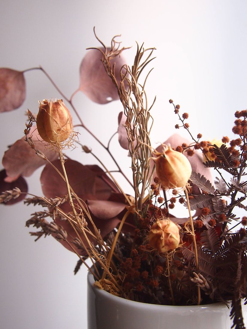 惠 Kei 昨年採ったニゲラ 小さな玉ねぎがくっついてるみたいな面白い形をしてます ドライフラワーにしていたのですが 種がとれたので植えてみました 私の花記録によれば5月25日の誕生花 来年春が楽しみです T Co Cshjiedrvn Twitter