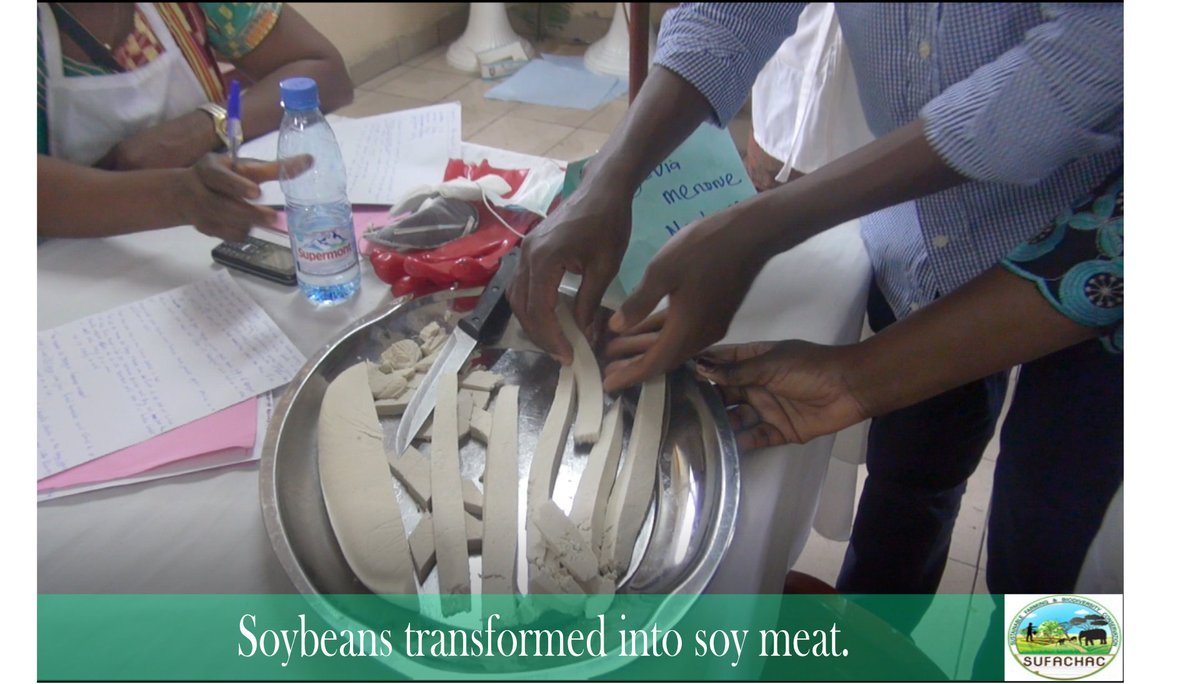 sufachac's tweet image. During the workshop, the women were also trained on the theoretical and practical session for different processes involved in the transformation of soybeans into soy-meat, soy beefsteak, and soy milk. JOIN OUR WEBSITE sufachac.org
#sufachac #soybeans #agriculture #food
