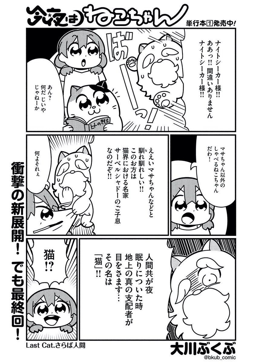 モーニング ツー 毎月22日発売 モーツー11号好評発売中 今夜はねこちゃん は衝撃の新展開 けど最終回 人間が眠りについた時 目をさます地上の真の支配者は 猫 単行本第２巻は 今宵もねこちゃん というタイトルで発売になります