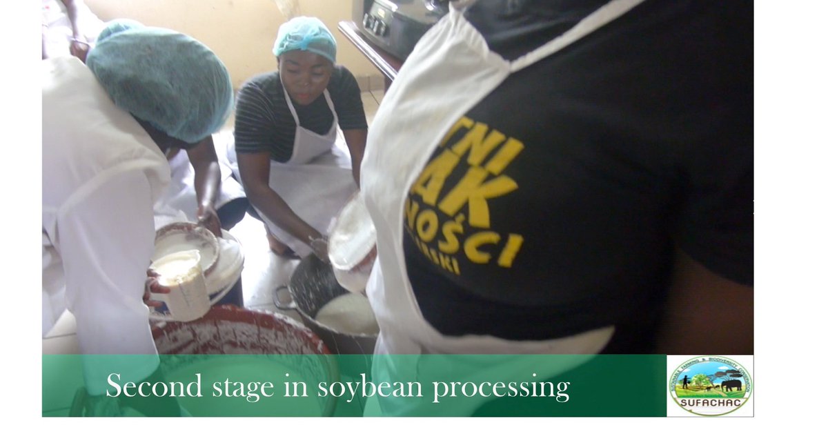 sufachac's tweet image. During the workshop, the women were also trained on the theoretical and practical session for different processes involved in the transformation of soybeans into soy-meat, soy beefsteak, and soy milk. JOIN OUR WEBSITE sufachac.org
#sufachac #soybeans #agriculture #food