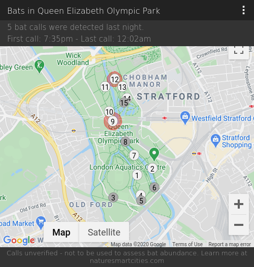 5 bat calls were detected last night, 24-09-2020.