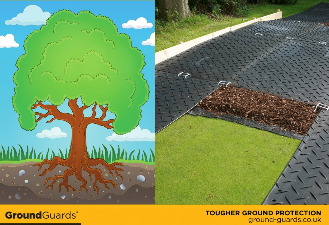 GroundGuards's tweet image. GroundGuards for TREE ROOT PROTECTION !

Are you protecting tree roots adequately from damage and compaction caused by site traffic and machinery?

View our tree root protection case study here: ground-guards.co.uk/case-studies/t…

#groundguards #toughergroundprotection #treerootprotection