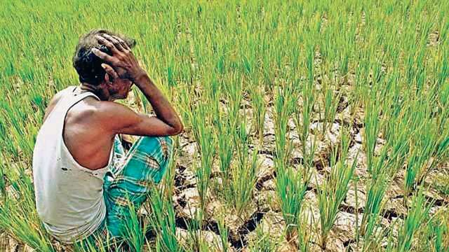 Munnakemla2's tweet photo. #आज_भारत_बंद_है
Support the farmers. Raise voice for the rights of the farmers, do not let injustice happen to the farmers, otherwise this country will go down.
#BharatBandh
#IStandWithIndianFarmars
#आज_भारत_बंद_है
@FOUNDERofMMES
@HansrajMeena https://t.co/xNEF9rpbEE