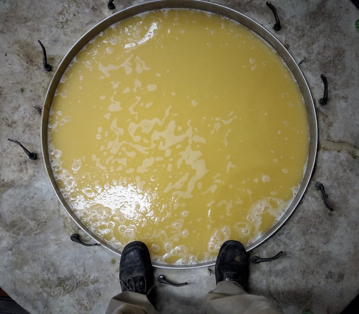 2020 #elSenyalBlanc 100% #GarnatxaBlanca.
@DOTerraAlta