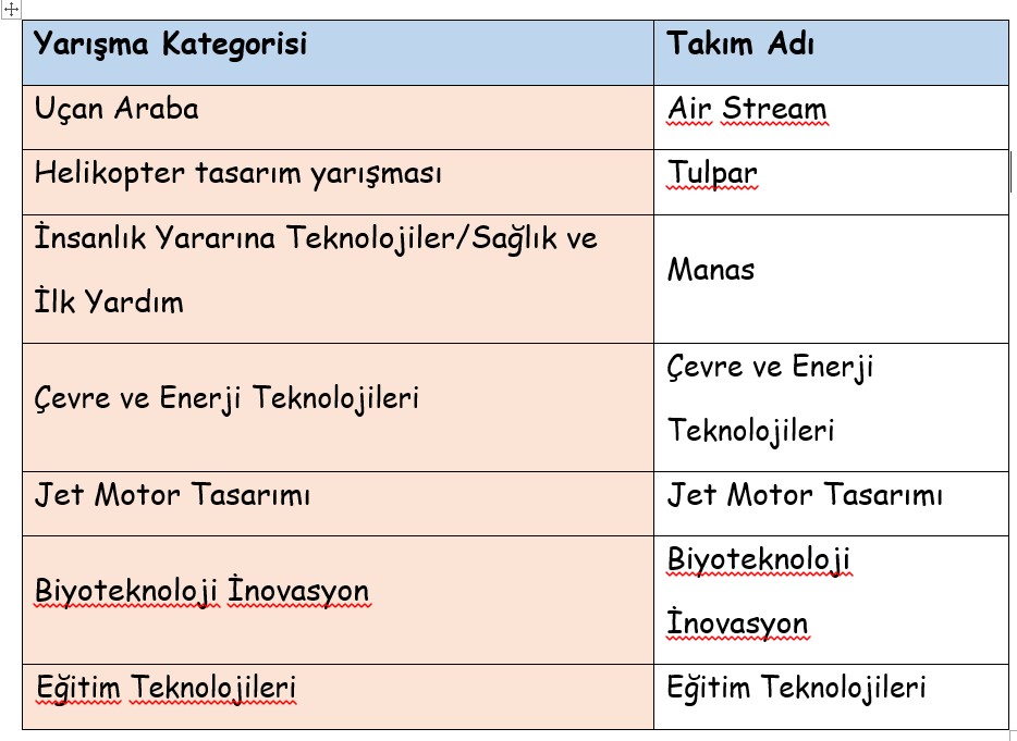 İşte TEKNOFEST'te Necmettin Erbakan Üniversitesinin finalde yarışan takımları ve kategorileri
