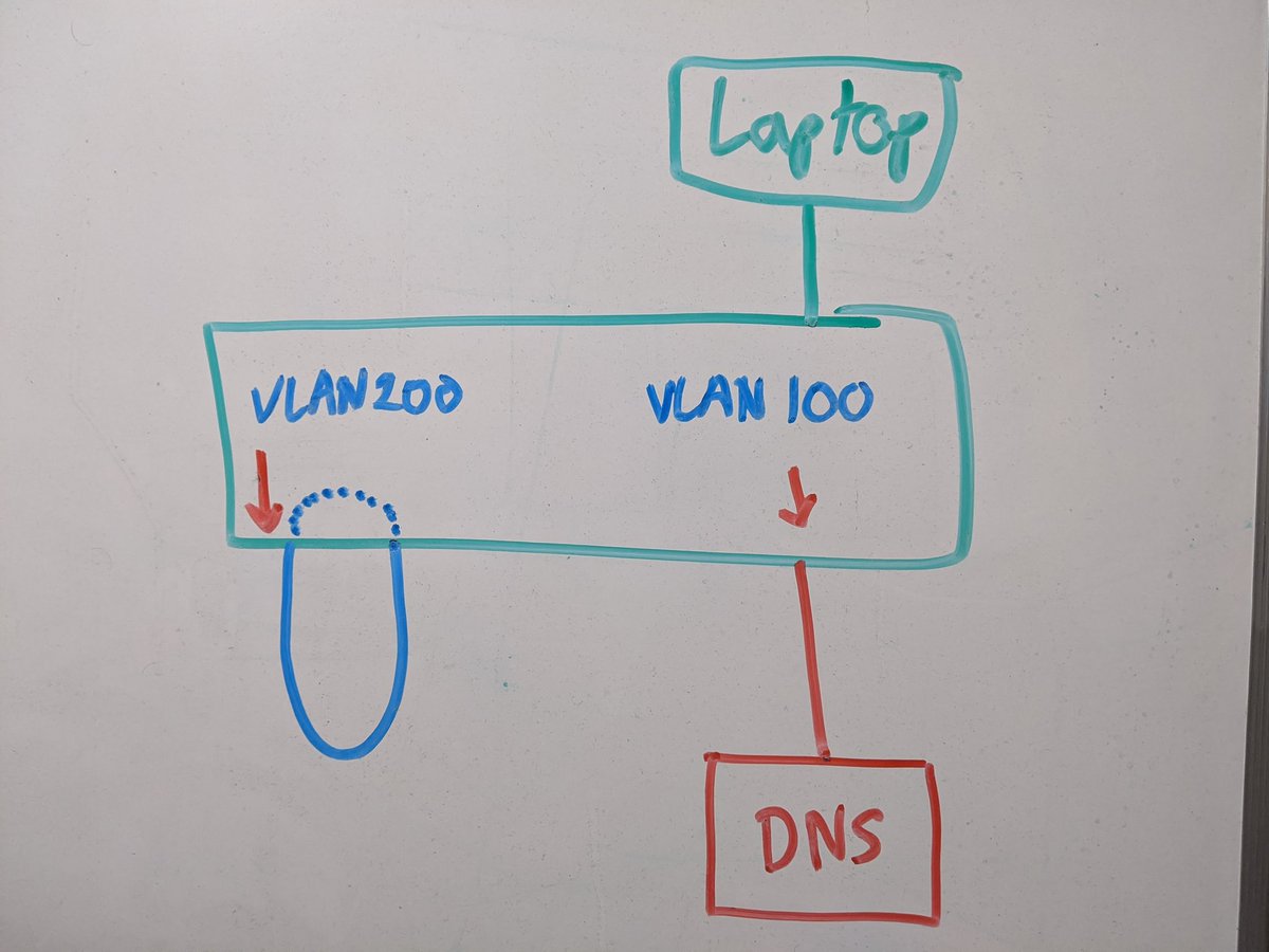We have now set up a separate vlan as a whirlpool of L2 death, and pointed a static entry for the DNS server out the first port...