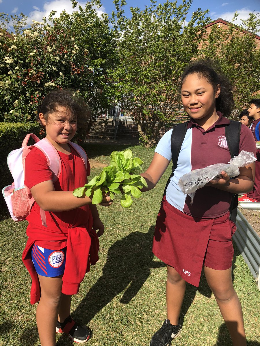 DoonsidePS tweet picture