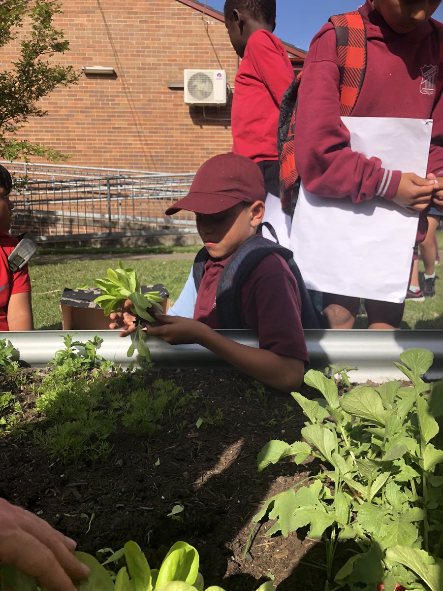 DoonsidePS tweet picture