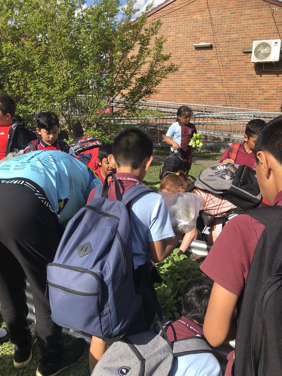 DoonsidePS tweet picture