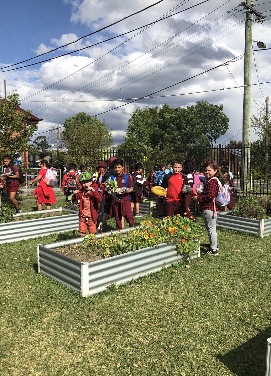 DoonsidePS tweet picture