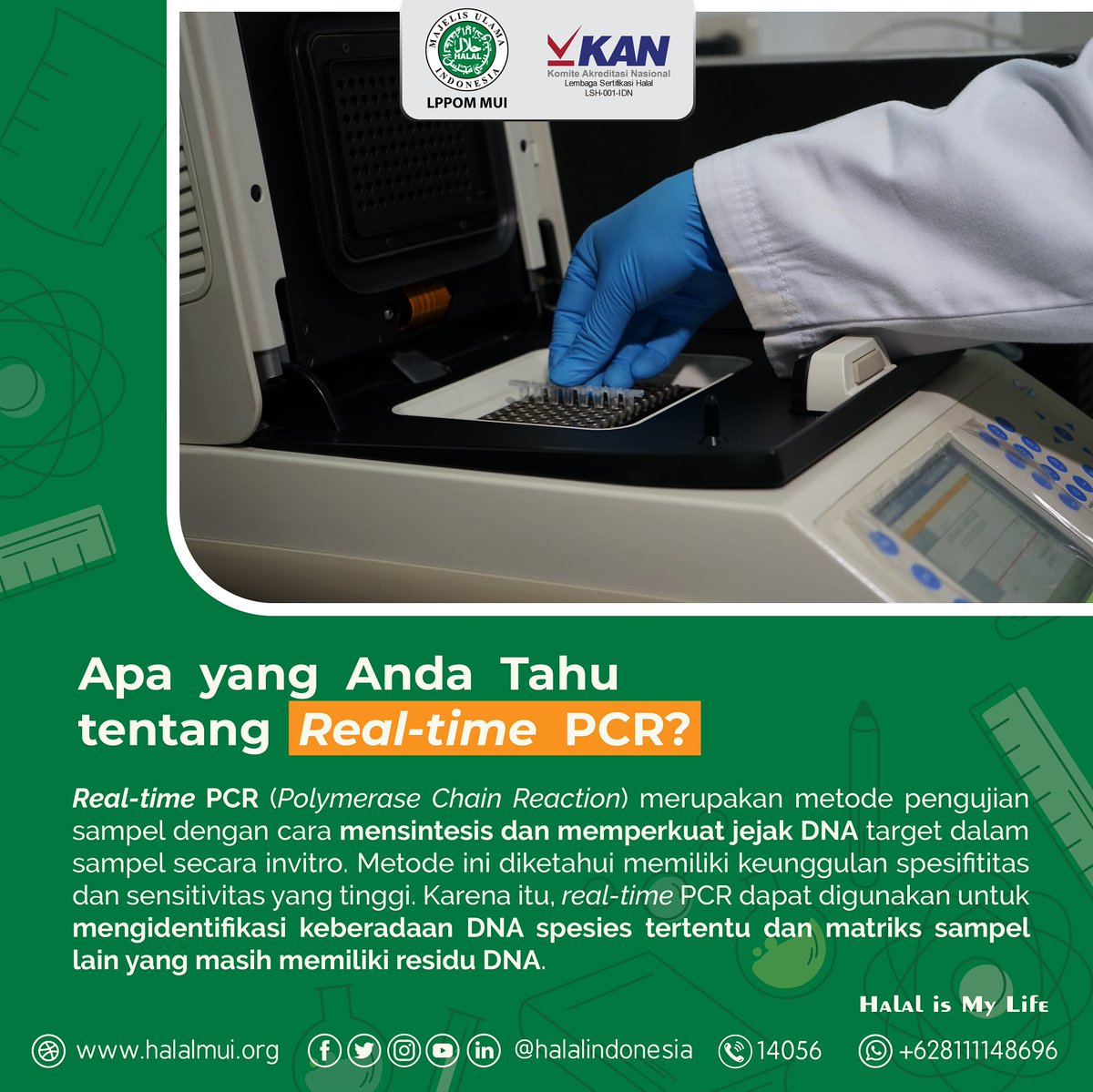 lppom_mui's tweet image. #SobatHalalMUI, real-time PCR memiliki 3 tahapan utama, yaitu ekstraksi DNA, pembacaan konsentrasi dan kemurnian DNA serta amplifikasi DNA pd mesin real-time PCR, halalmui.org/mui14/main/det…
.
#realtimepcr #lab #labhalal #lph #lppommui #halalmui #halalindonesia #kamuharustau