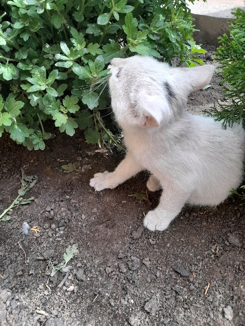 My best friends
 #friends #love #bestfriends