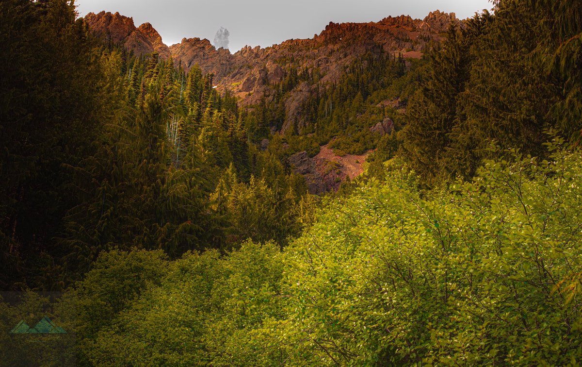 All this rain has me felling some kind of way!

.⁣
.⁣
.⁣
.⁣
.⁣
#theoutbound #northwestcreatives #beyondthelands #adventureinspired #mountainstones #exploretocreate #artofvisuals #amongthewild #eclectic #folkgreen #visualsofearth #agameoftones #roamtheplanet