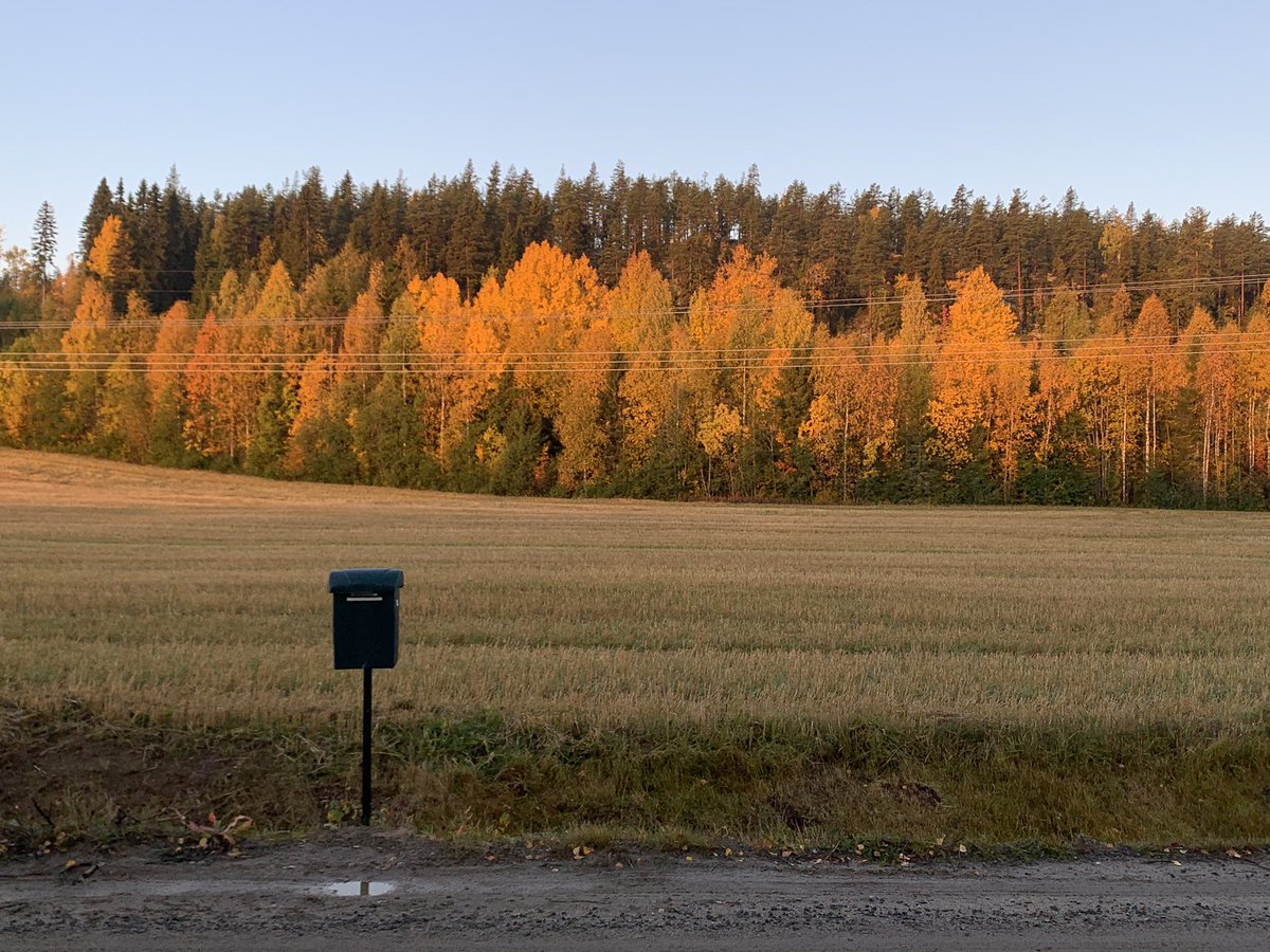 Good morning from Norrland 