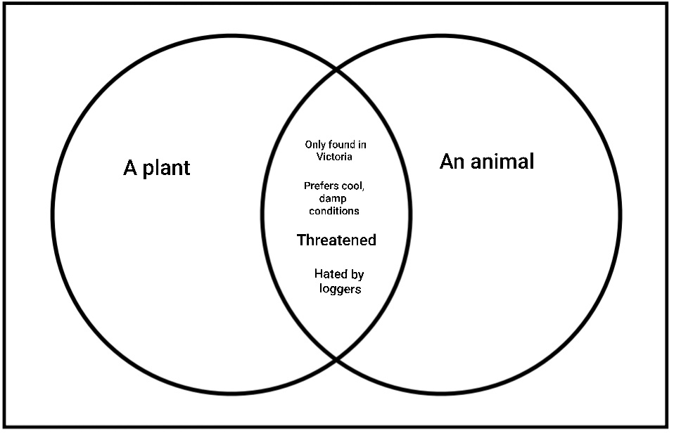 If you thought the words 'endemic' and 'vulnerable' were familiar, you may be thinking of an animal species from the same forests.Here's a Venn diagram to illustrate their similarities. Which animal could this be?