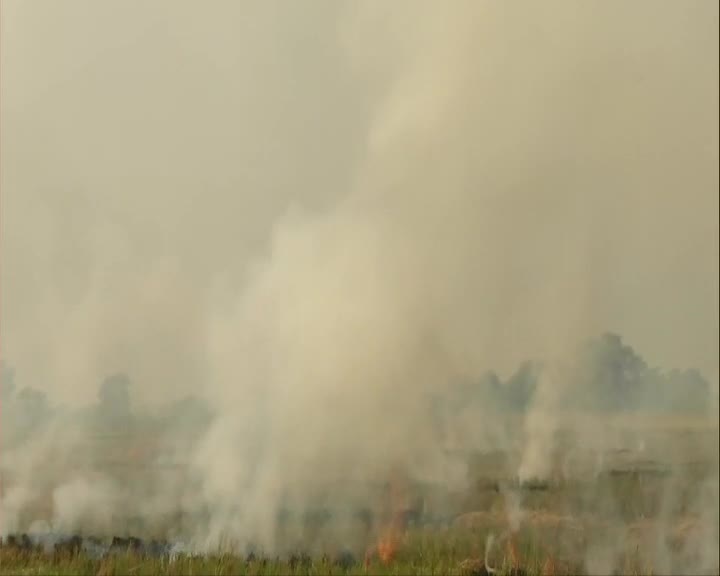 This smoke is heading your way Delhi. Crop residue burning happening today in a village Verka, Amritsar. Farmer says no option, need Rs 2,500 to pay for machine & labour. There should be one machine at block level, its not there. Private companies charge too much.