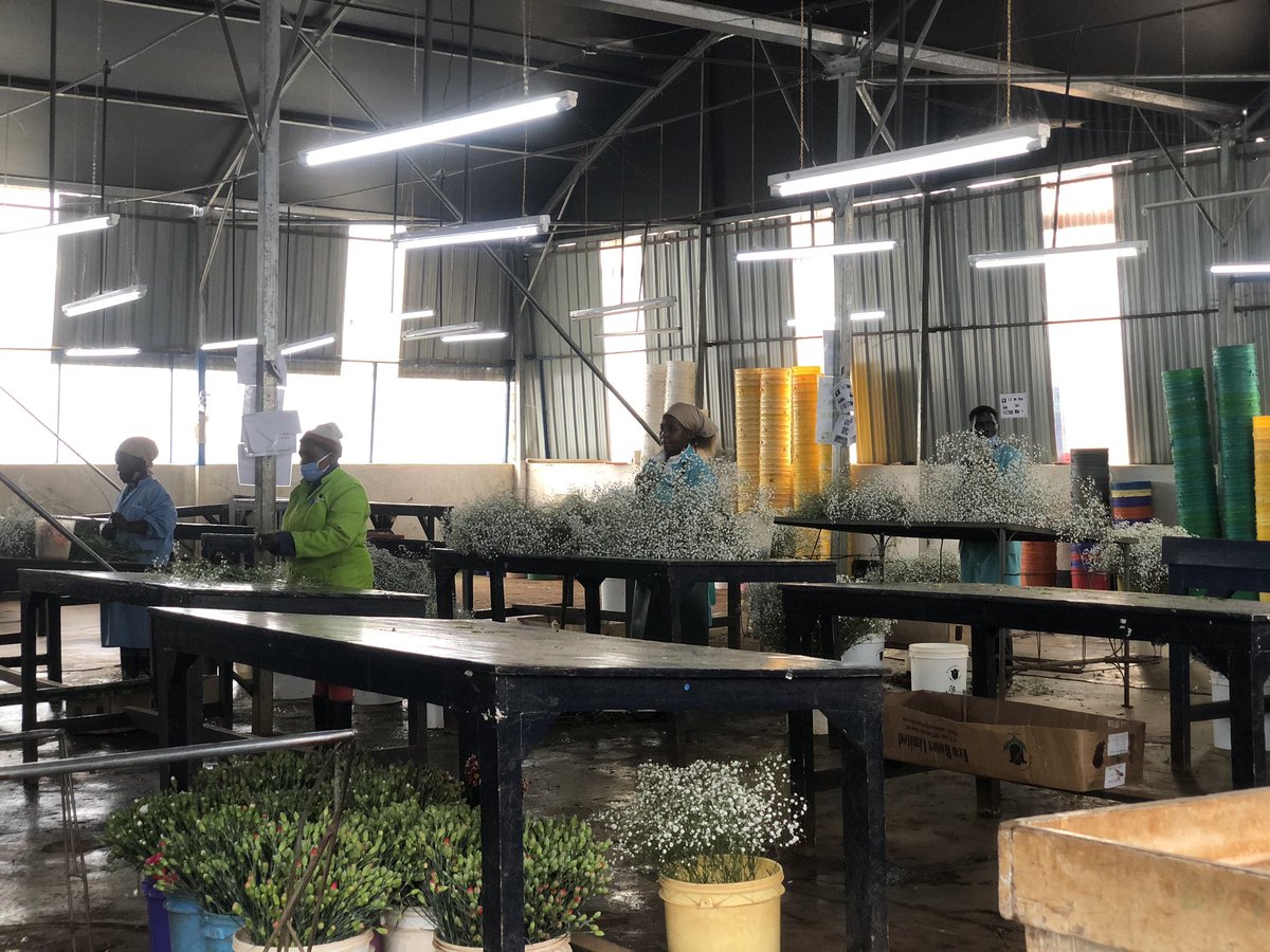 Yesterday FEMNET paid a courtesy visit to Tropiflora Farm, one of the women's leadership partners under #WomenAtWork campaign.