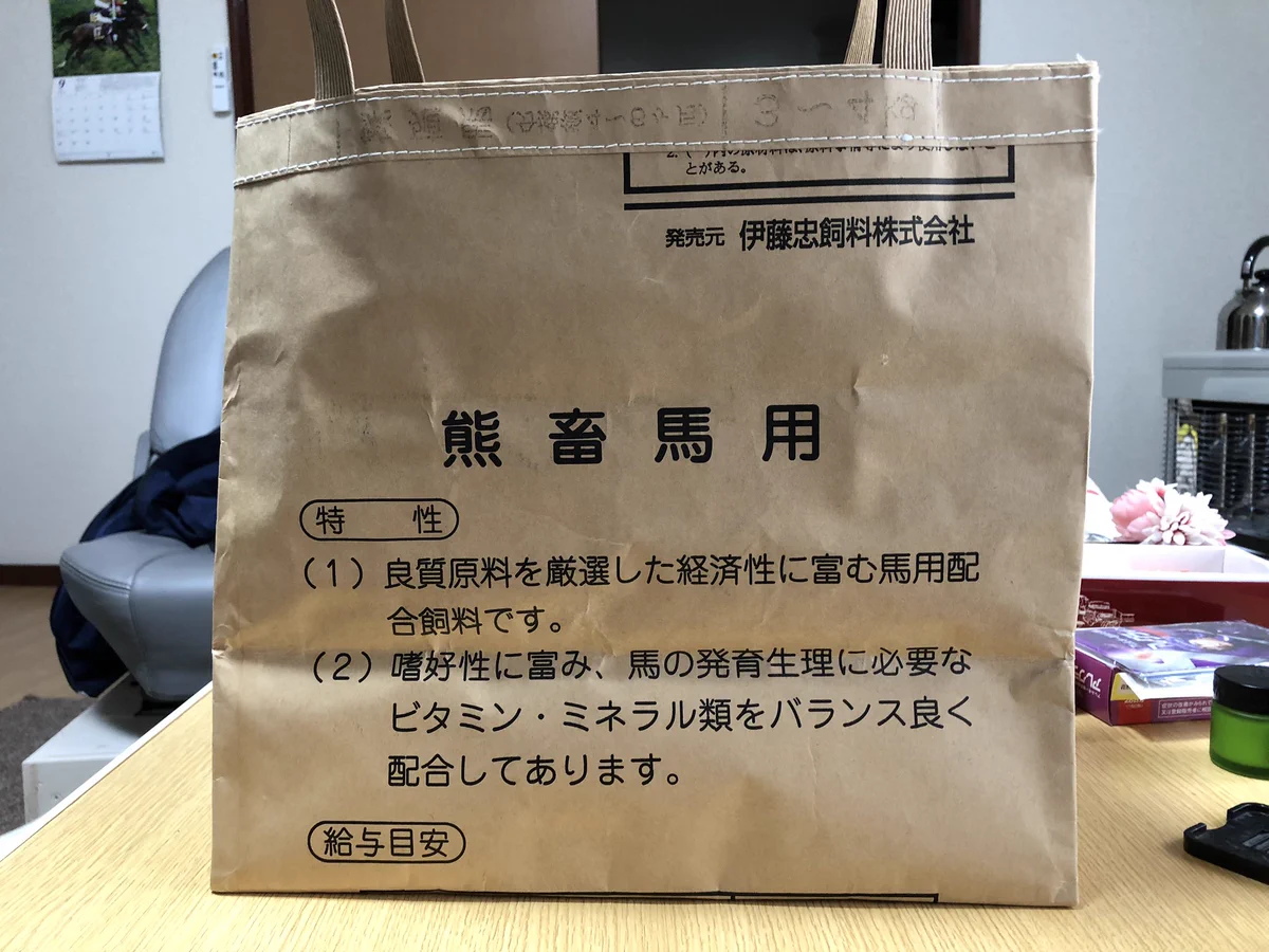 これを持てば注目の的かも！？ぶっ飛んだセンスのカバン！