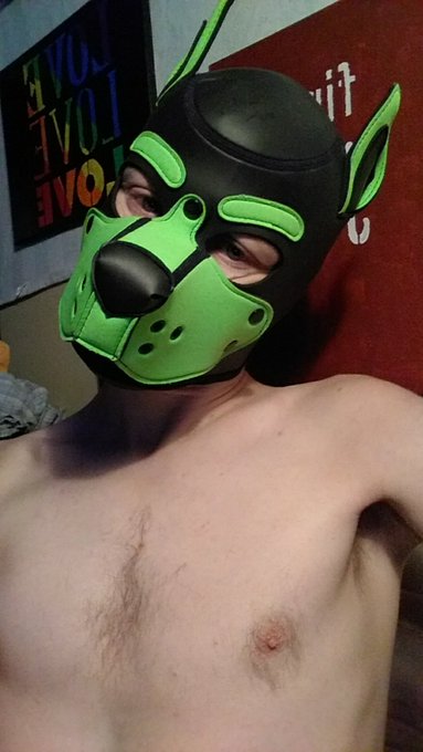 Pup wants to have some fun! Dm me guys! https://t.co/fkfBb1jwED